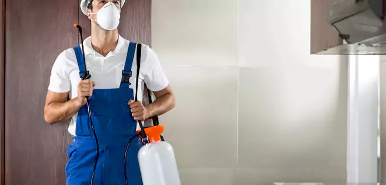 Why Tacoma Homeowners Choose Us When Pests Make Selling Difficult